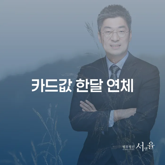 과대출자추가대출 연체 시 빚 합법적인 빠른방법 있다면
