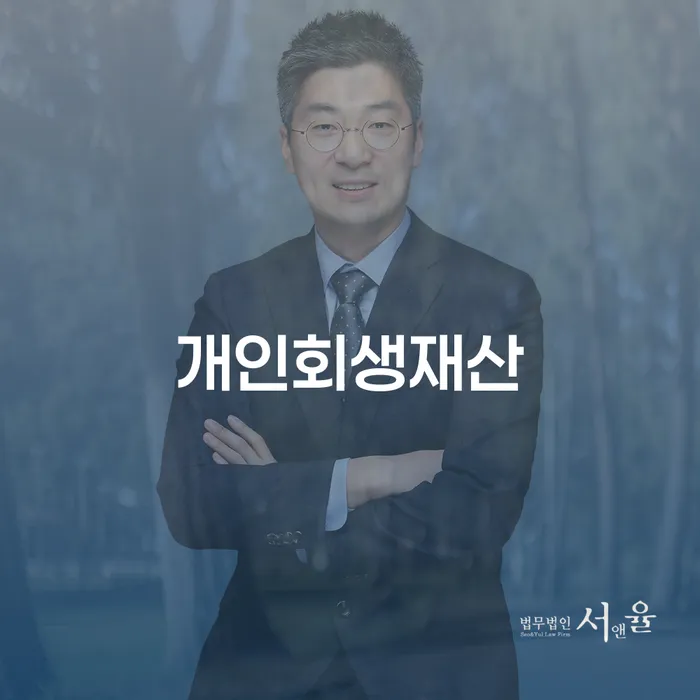 면책확인의소 개인회생 제도 어떻게 진행되는지