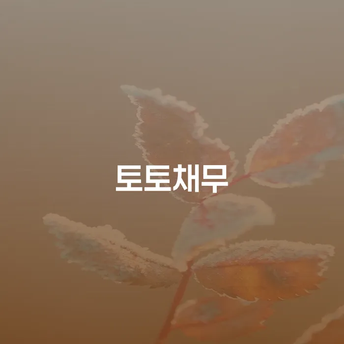 사업자회생 빚독촉 정확한상담을