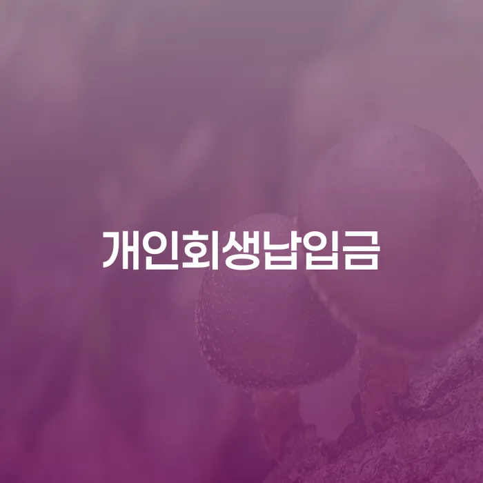 울릉군 개인파산면책후 연체 채무 신속해결방법 장점을