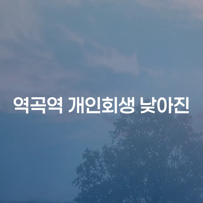역곡역 개인회생 낮아진