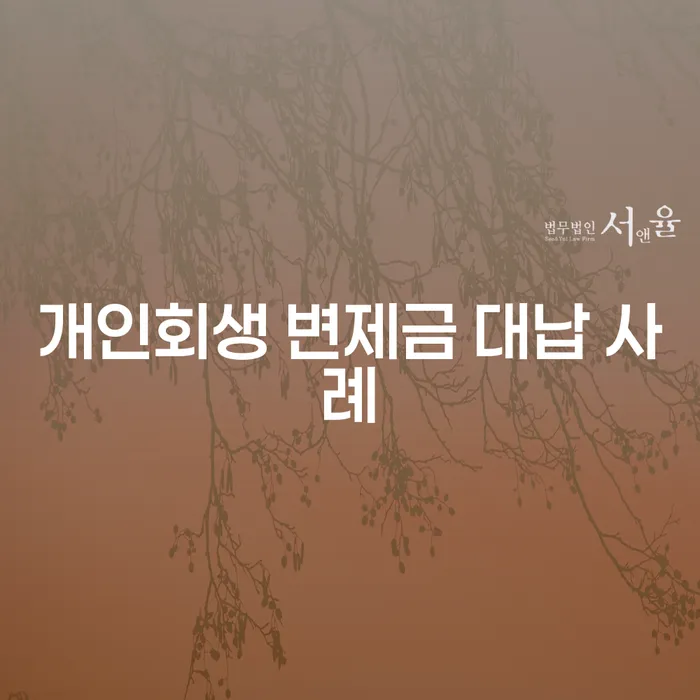 개인회생 변제금 대납 사례로 알아보는 효과적인 채무 해결 방법은?