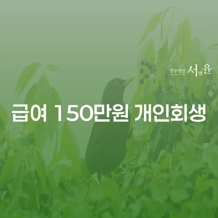 한 달 급여 150만원, 개인회생 신청 가능할까요?